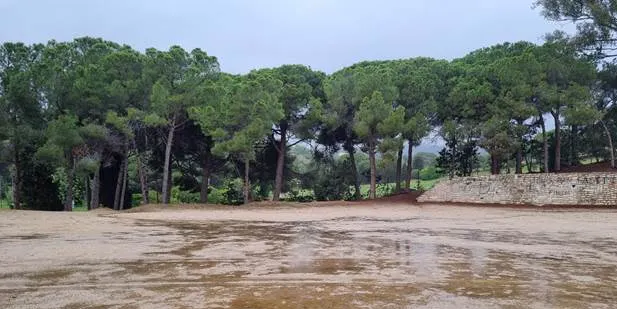 Suspesa la Festa de l'Arròs prevista per a demà