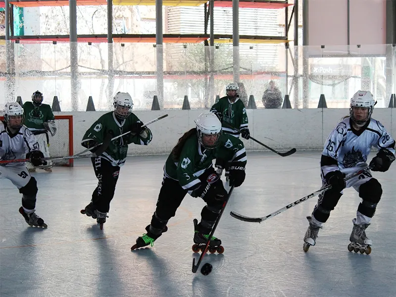 Es va tornar a veure a la Francesc Calvo a un Cent Patins que va lluitar contra moltes ex jugadores