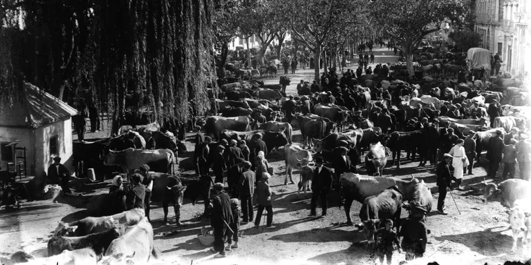 La Fira de la Seu d’Urgell en la seva perspectiva històrica, segona conferència del cicle 'Desenterrant el passat'
