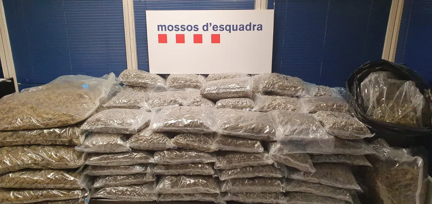 Agents de la comissaria dels Mossos d’Esquadra de Caldes intervenen en la detenció d’un veí de Lliçà d’Amunt que distribuïa marihuana a l’engròs
