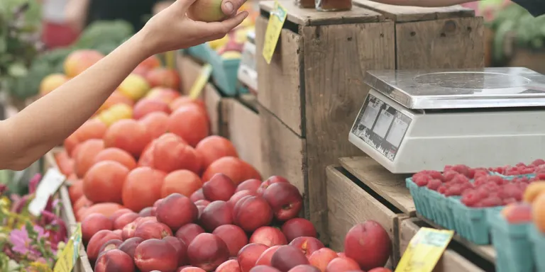 El mercat dels dissabtes podria tornar en un període màxim de 15 dies