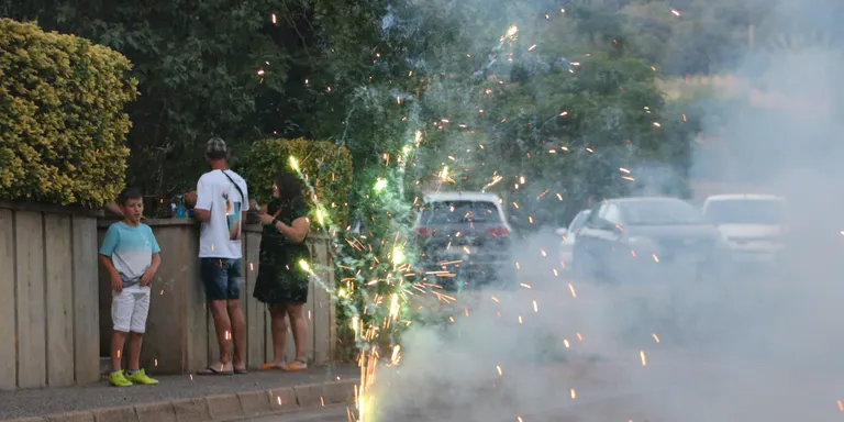 Elena fa una crida a la "prudència" per Sant Joan però admet que el risc d'incendi és menor que l'any passat