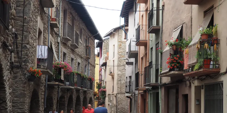 Aprovades les bases per als ajuts destinats a la millora de les façanes del centre històric de la Seu