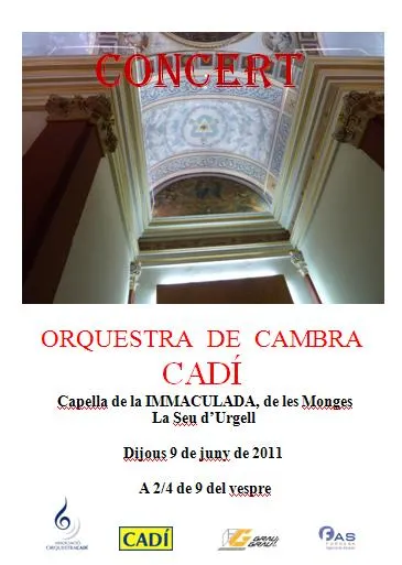 L'Orquestra de Cambra Cadí ofereix un concert a la capella de la Immaculada