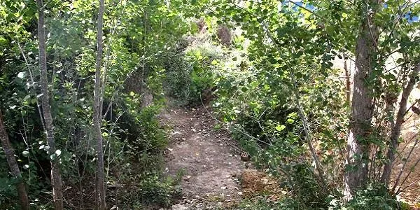 El ple d’Altafulla aprova amb caràcter inicial el projecte de construcció d’una bassa de laminació a la conca de la Rasa