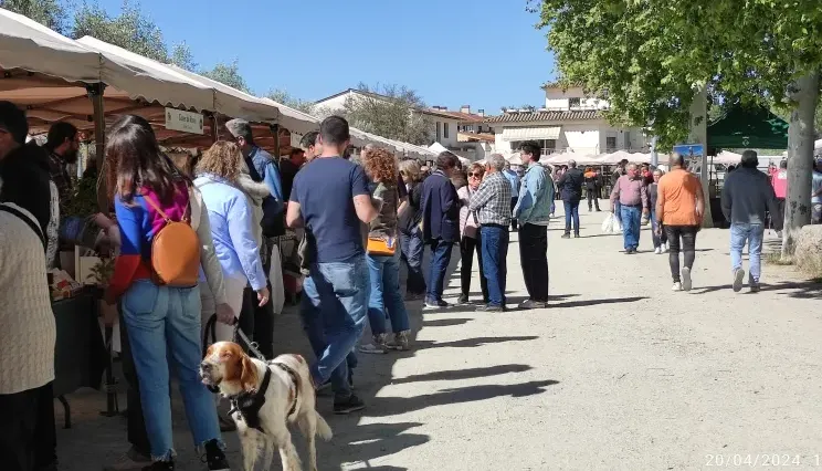 La Fira lliga’t a la Terra aconsegueix vendre 22.000 planters
