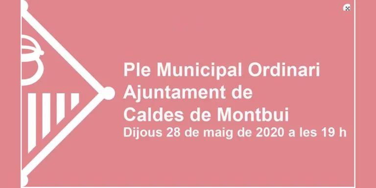 L'Ajuntament ha publicat ja l'ordre del Ple de maig de dijous