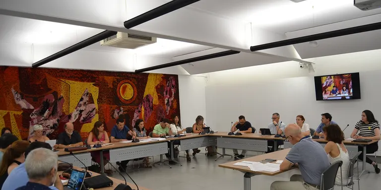 Avui hi ha ple ordinari del mes de desembre a l'Ajuntament de Pineda