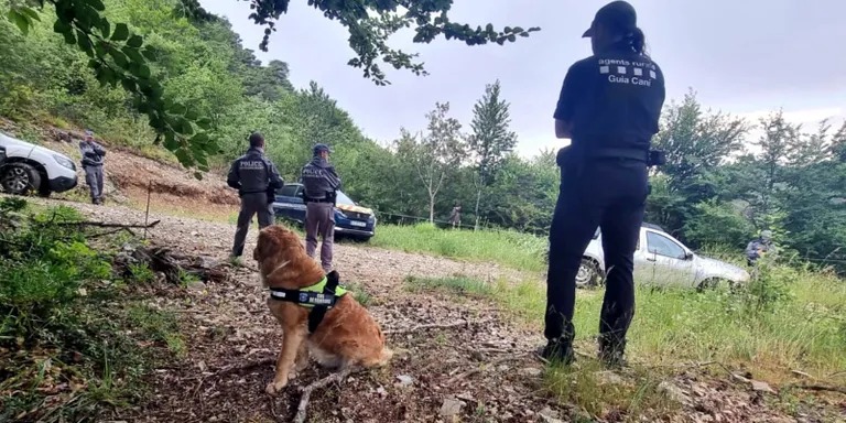 Dos gossos ensinistrats dels Agents Rurals localitzen un cadàver de llop a França