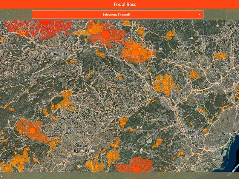 Una nova aplicació web vol sensibilitzar sobre els efectes dels incendis forestals