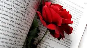 La rosa vermella predomina per la diada de Sant Jordi