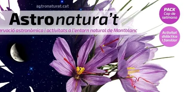 Recital de poemes inspirat en Guinovart, a la Barceloneta