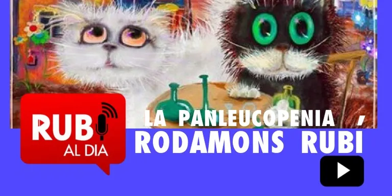 RODAMONS RUBÍ campanya panleucopenia
