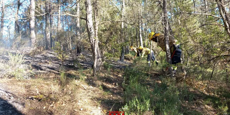 El primer incendi de la temporada crema 400 metres quadrats de bosc a Ogern