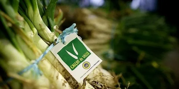 Altafulla acull la Jornada Tècnica del Calçot de Valls aquest divendres