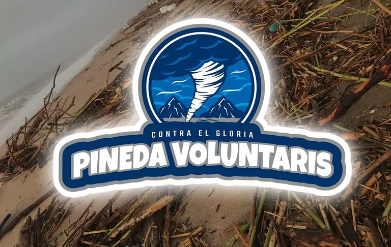 Més de 600 persones s'han apuntat per fer aquest diumenge tasques de neteja a la Platja de Pineda