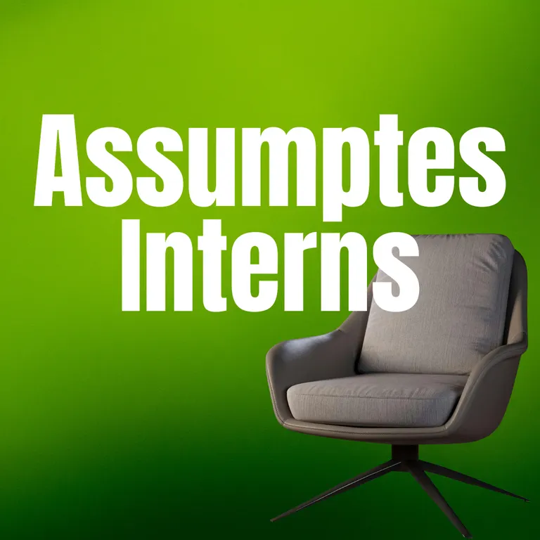 Assumptes Interns