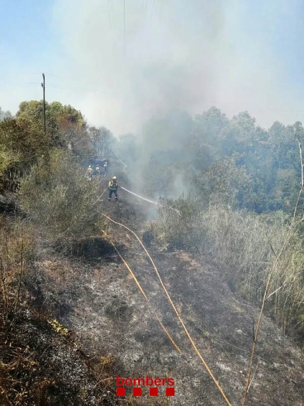 Els bombers donen per estabilitzat l’incendi a Valls