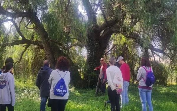 Foto: Hort de la Sínia