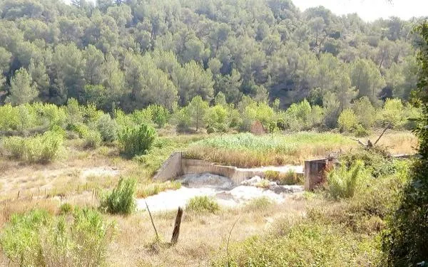Foto: ACA