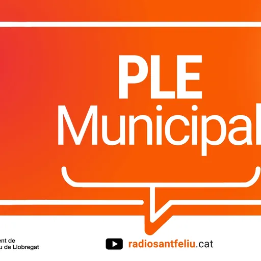 El Ple Municipal