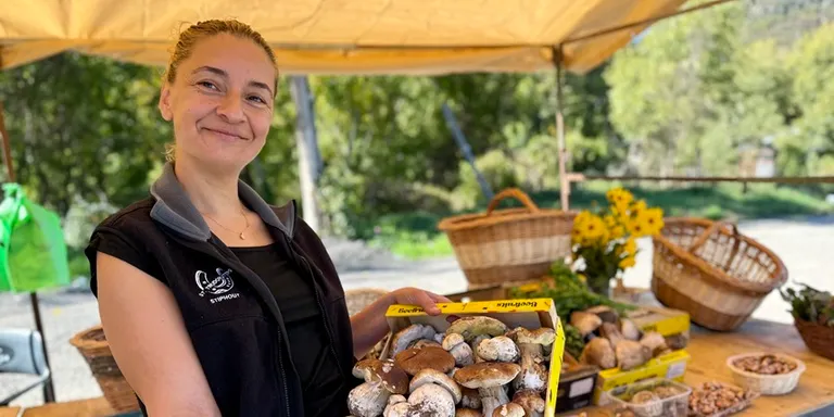 Primeres parades de bolets a peu de carretera al Pirineu a preus entre els 30 i 70 euros el quilo