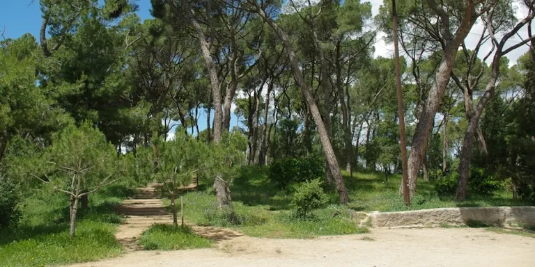 Entra en vigor la prohibició de fer foc al bosc