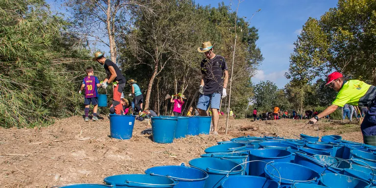 Més d'un centenar de persones, a punt per a la segona plantada a la Granja