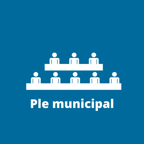 Ple Municipal