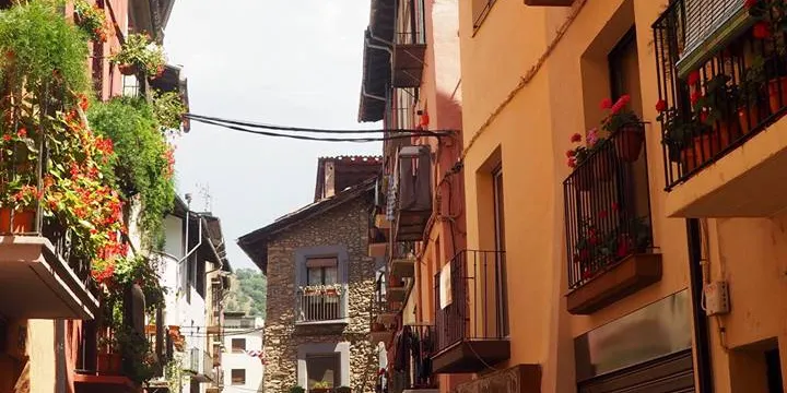 Acord per modificar l'ordenança de rètols i publicitat de la Seu d'Urgell