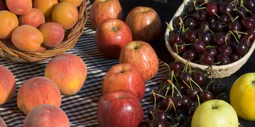 La Regió Sanitària Alt Pirineu i Aran se suma a la campanya de l'AECC de promoció del consum de fruita en l'àmbit laboral