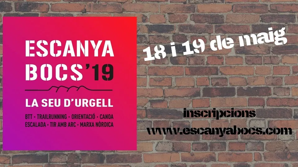 Escanyabocs 2019
