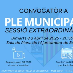 8 d’abril: Ple municipal extraordinari de l’Ajuntament de Begur - episode art