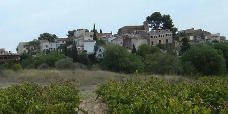 La Torre Camina ens porta aquesta setmana al mirador de la Morella, la desembocadura del Gaià i Renau