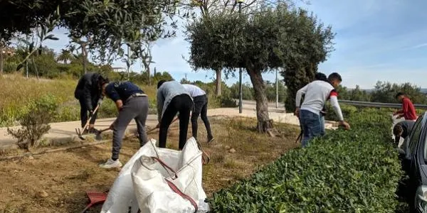 Altafulla mantindrà enguany l’especialitat de jardineria del Pla de Transició al Treball