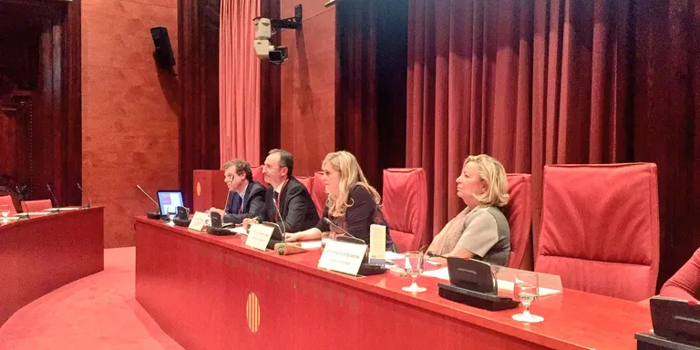 El director general de Polítiques de Muntanya compareix al Parlament