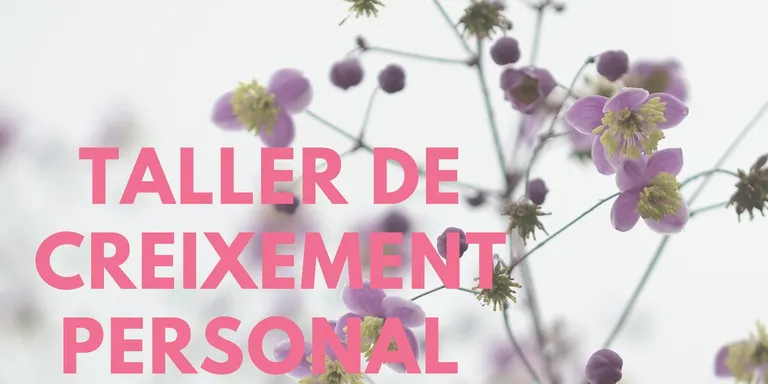 Durant els mesos d’octubre, novembre i desembre es faran tallers de creixement personal a Can Borrell