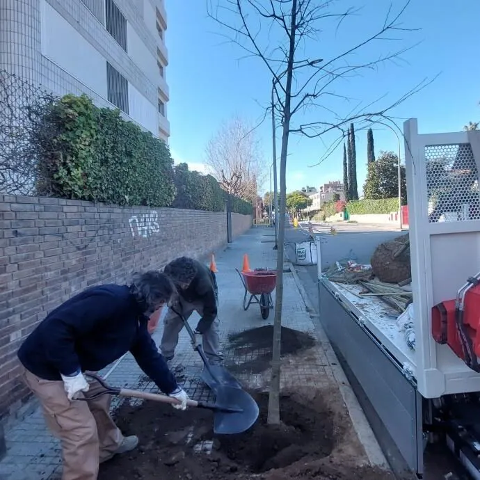 L'Ajuntament inicia la plantació d'uns 200 arbres en diverses zones del poble