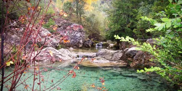 L'Hort de la Sínia proposa un bany de bosc a Tamarit per aturar-nos, respirar i desconnectar de l'estrès de la vida quotidiana