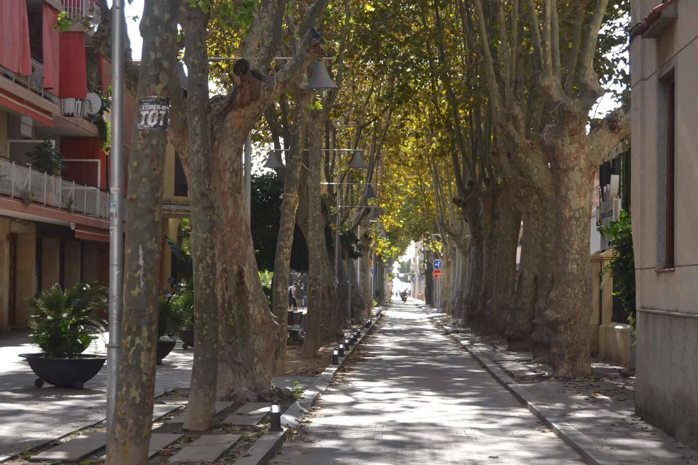 Jornada tranquil·la i ambient suau