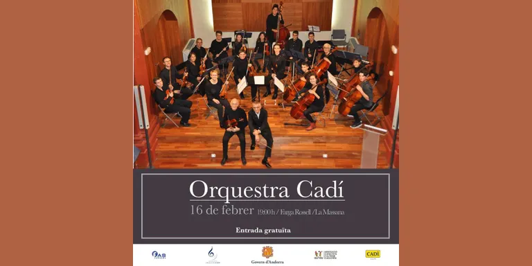 Concert de l'Orquestra de Cambra Cadí a la Farga Rossell de la Massana