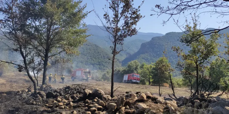 Controlat un incendi a Coll de Nargó que ha cremat vegetació agrícola i forestal