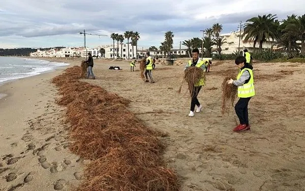 Foto: Altafulla Ràdio