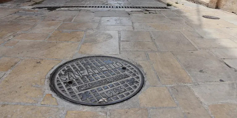 L'Ajuntament obté una subvenció per a la gestió de plagues urbanes
