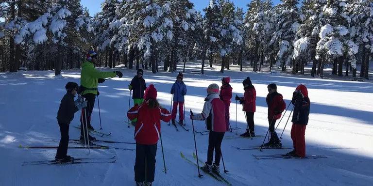 La CUP proposa celebrar un referèndum per decidir si el Pirineu vol acollir els Jocs Olímpics d'Hivern