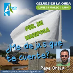 #45 - Piel de mariposa - episode art