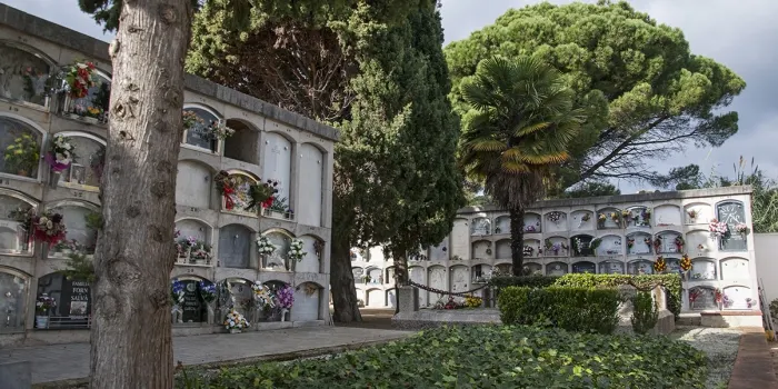 Un grup de xais destrossen les flors del cementiri d’Arenys de Munt