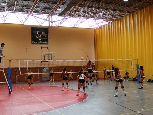 Les lesions perjudiquen a les nostres. Arxiu