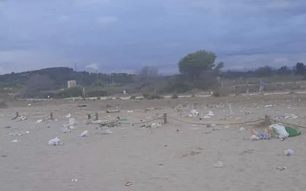 Foto: Associació Mediambiental la Sínia