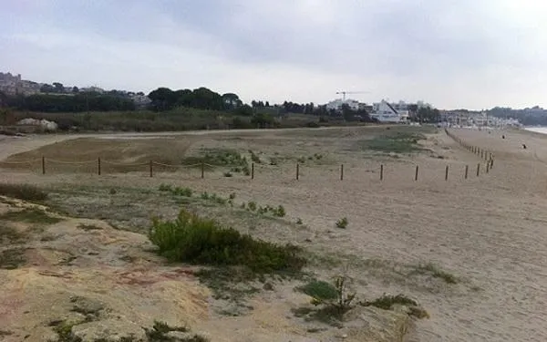 Altafulla participarà aquest dissabte en la tercera jornada de voluntariat ‘Viu la platja!’